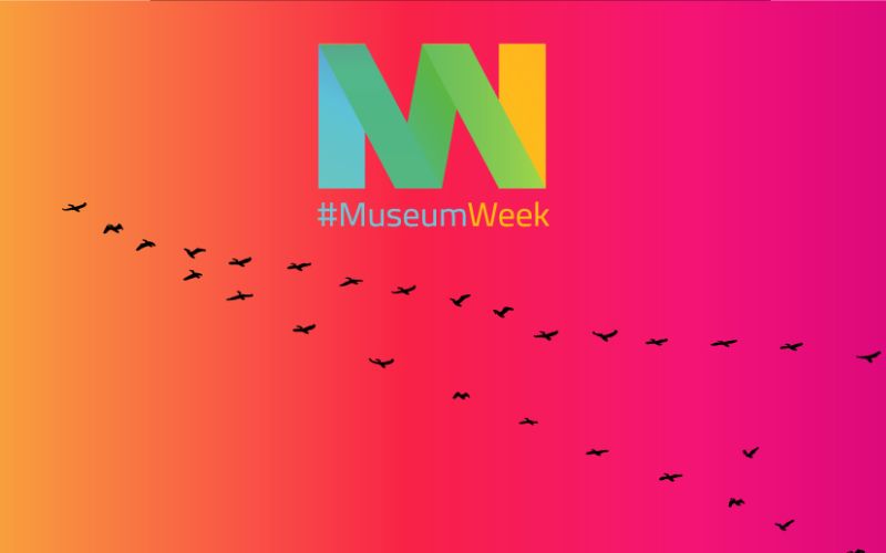 museum week 2020