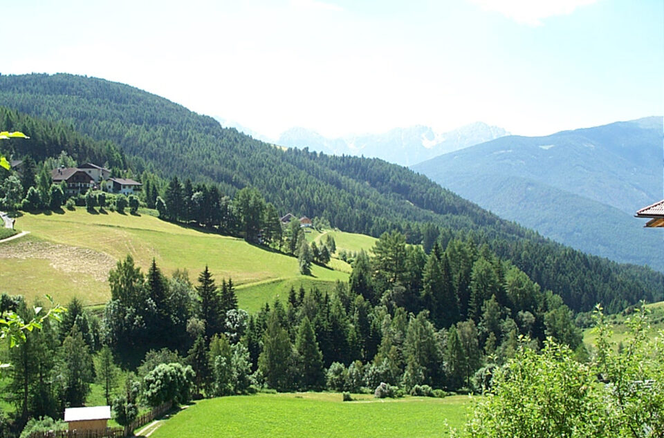 boschi