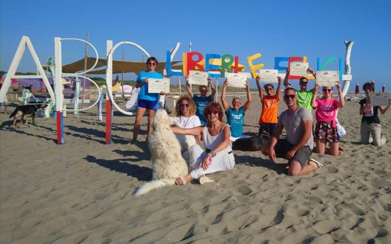 dog manager baubeach