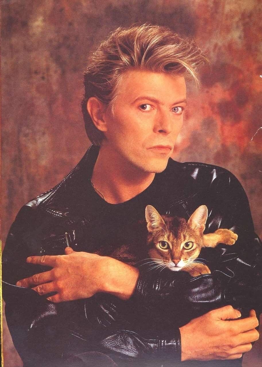 David Bowie, 5 anni senza il Duca Bianco