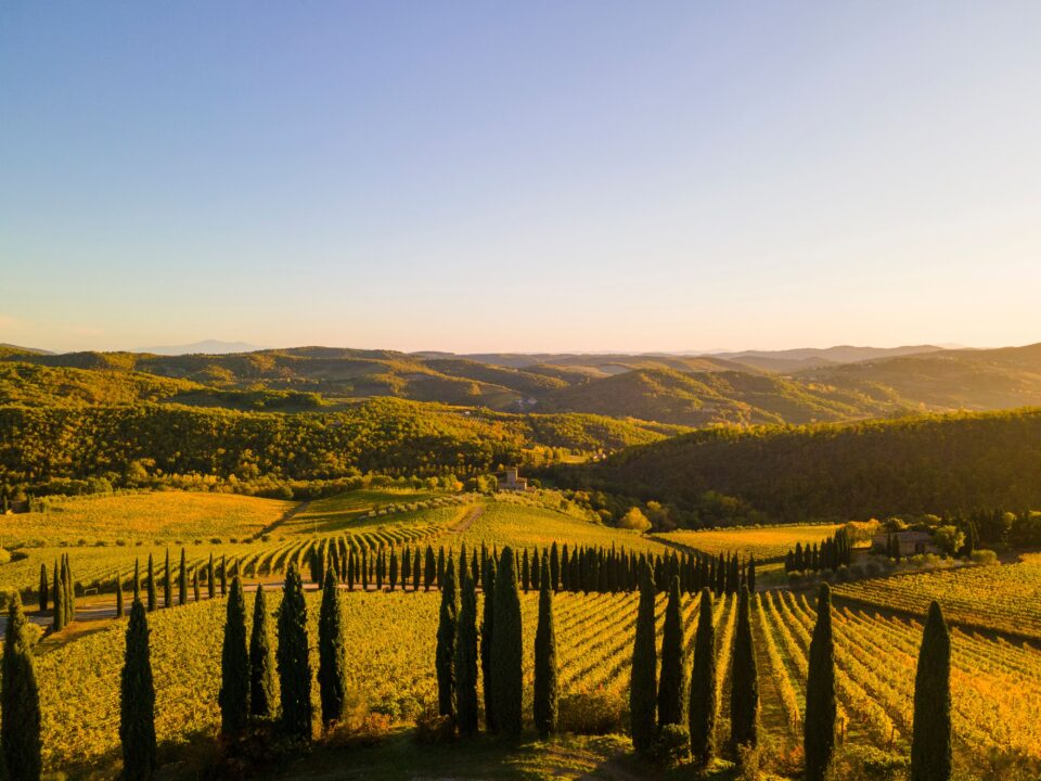 Cuoio di Toscana, il decalogo per la sostenibilità