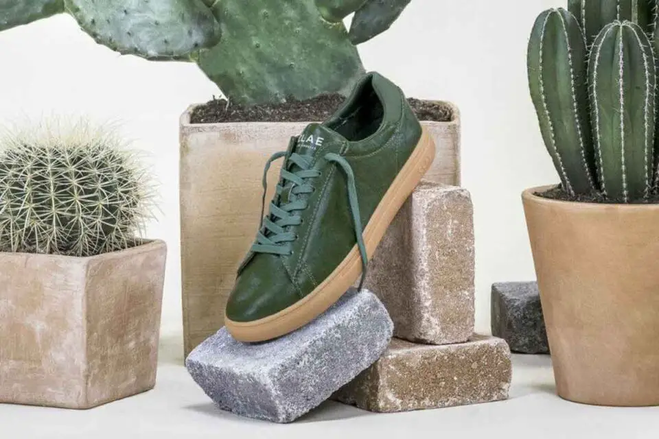 Clae, le prime sneaker vegane al mondo realizzate in pelle di cactus