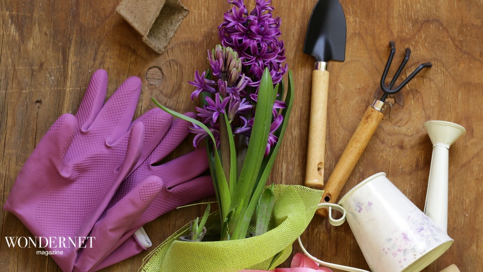 Giardinaggio, la tendenza Primavera 2021 per riconnettersi con la natura