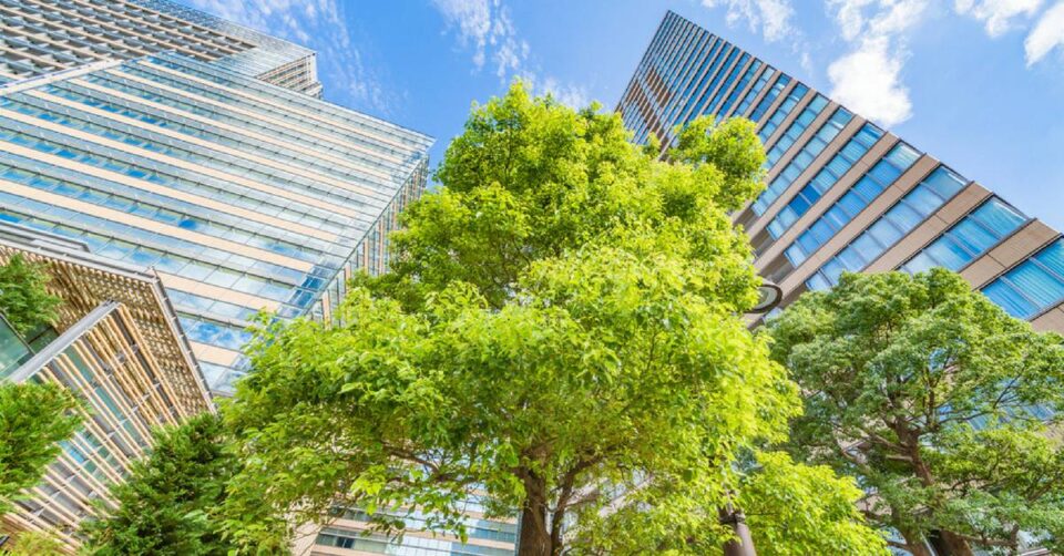 Smart cities, come saranno le città del futuro