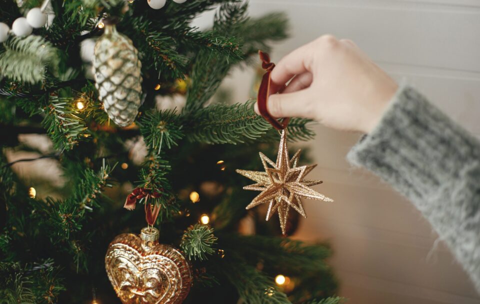 Natale 2022, l'albero vero riduce l'impatto ambientale