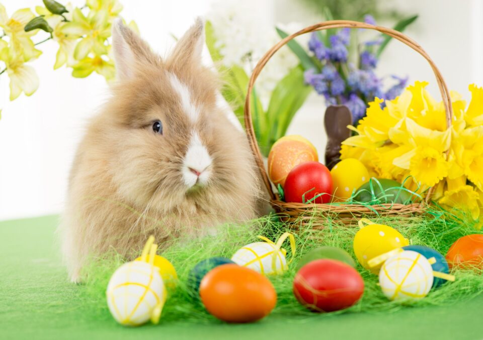 Pasqua 2023, le tradizioni e le usanze in Italia