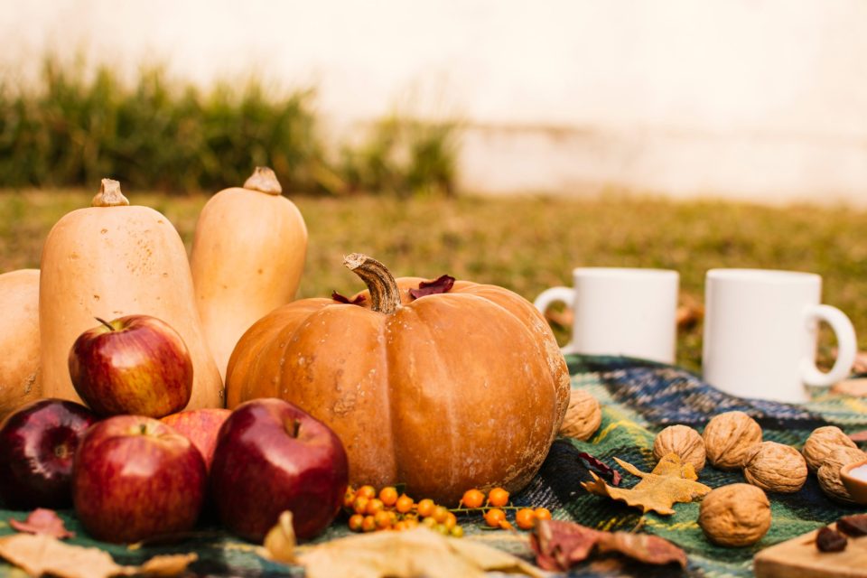 Dieta d'autunno, gli alimenti che aiutano il sistema immunitario