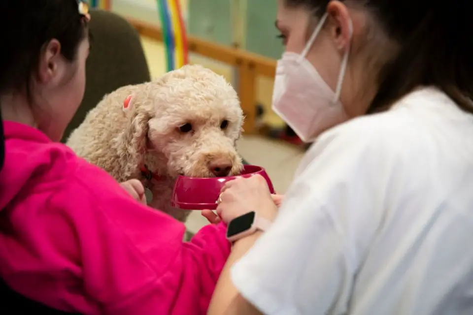 MyFamily, il nuovo progetto di Pet Therapy per i bambini