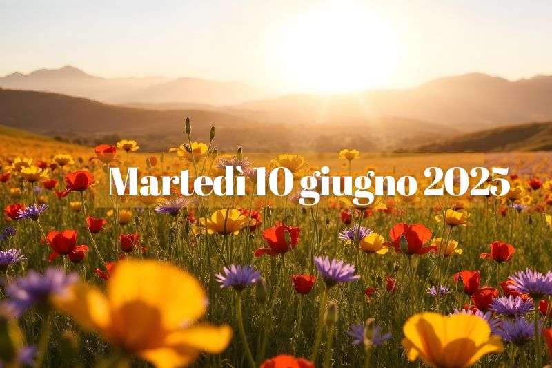campo di fiori colorati, sole e montagne sullo sfondo