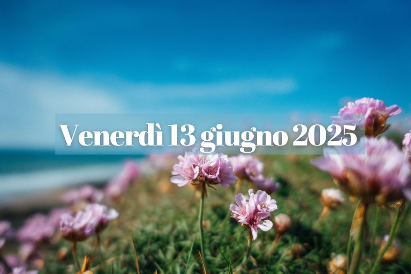 cespuglio di fiori rosa su una duna con mare sullo sfondo