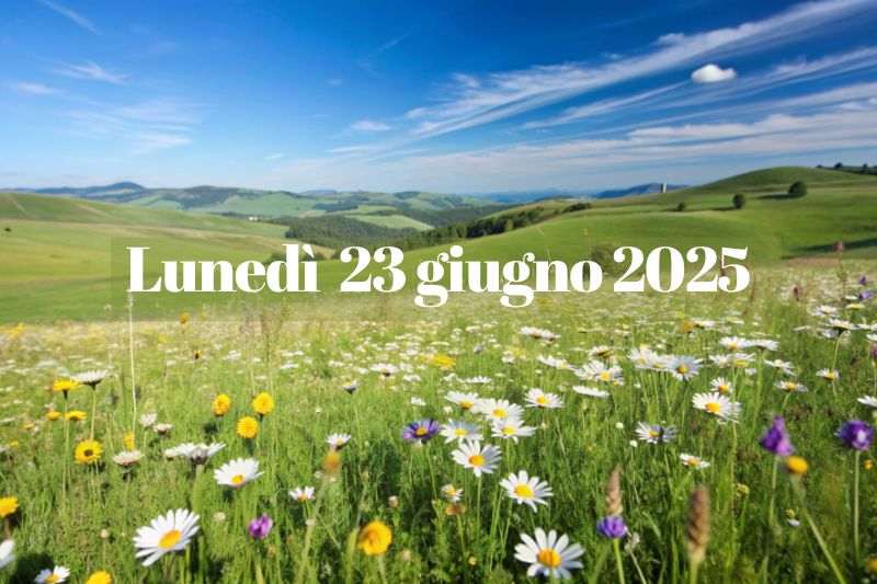 Un campo di fiori selvatici in fiore con dolci colline e un cielo azzurro sullo sfondo