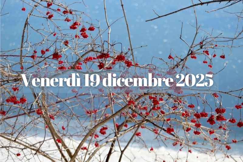 Ramo invernale con bacche rosse sotto la neve, immagine dedicata al 19 dicembre 2025