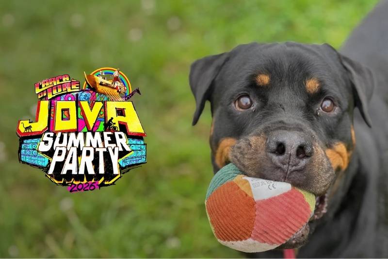 Un cane con una pallina in bocca accanto al logo del Jova Summer Party 2026, simbolo della collaborazione tra Fondazione Arcaplanet e il tour di Lorenzo Jovanotti per promuovere l'adozione responsabile dei Pet.